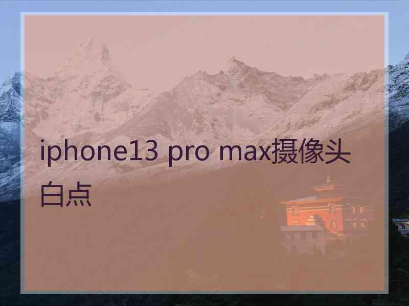 iphone13 pro max摄像头白点