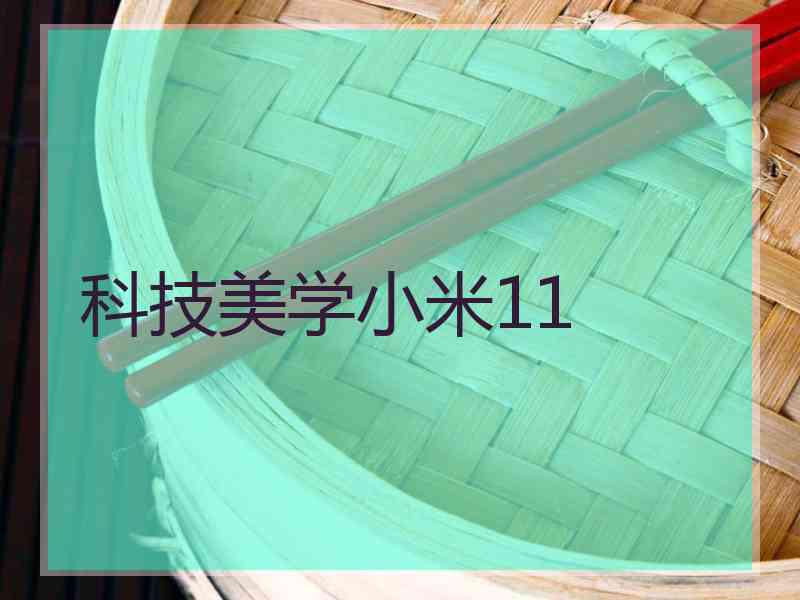 科技美学小米11