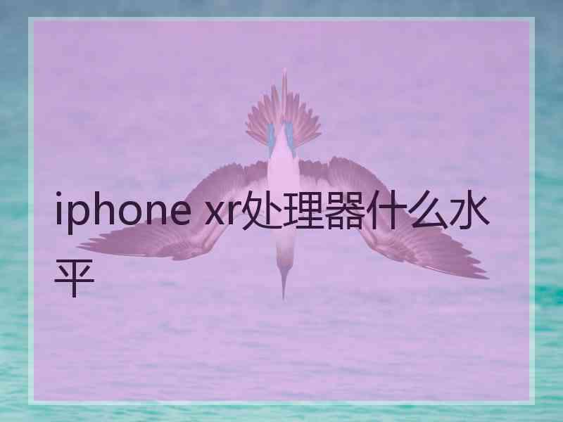 iphone xr处理器什么水平