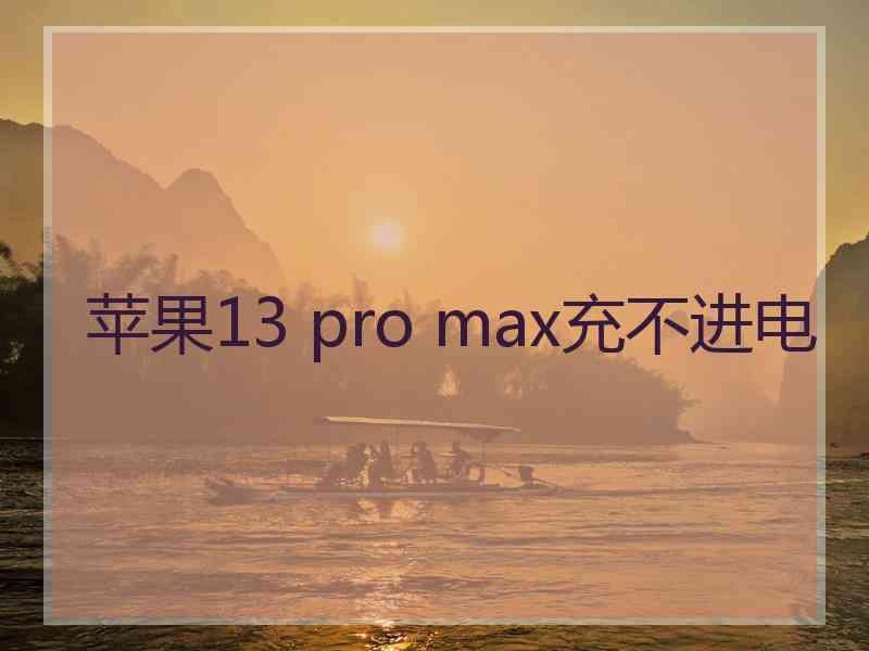 苹果13 pro max充不进电