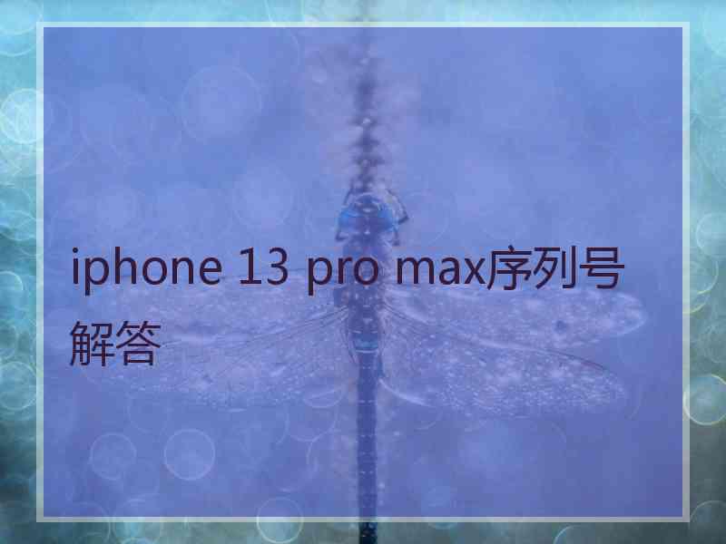 iphone 13 pro max序列号解答