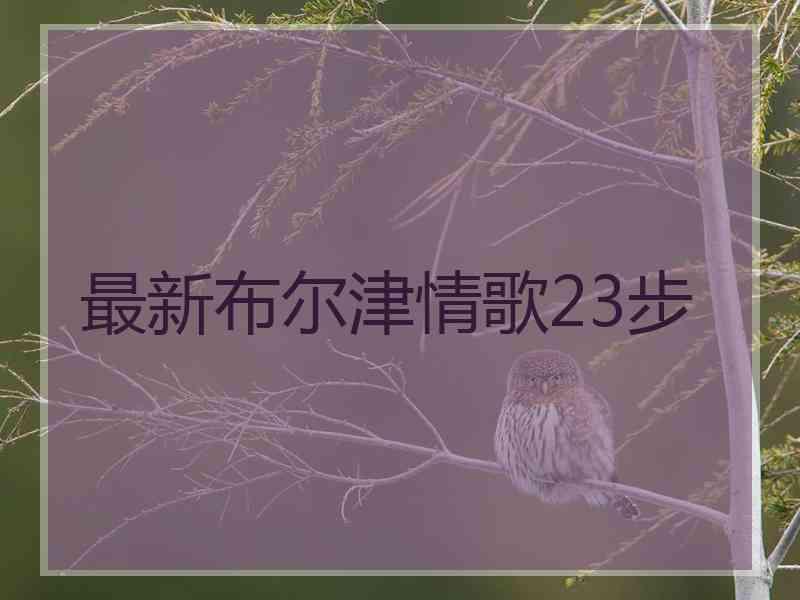 最新布尔津情歌23步