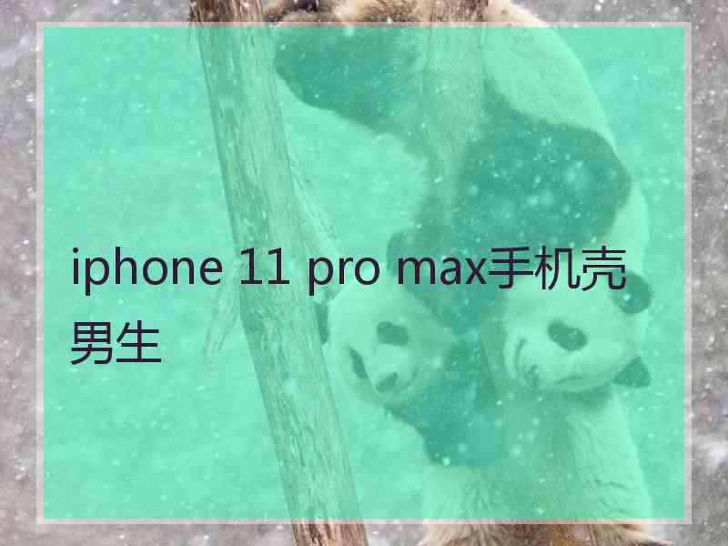 iphone 11 pro max手机壳男生