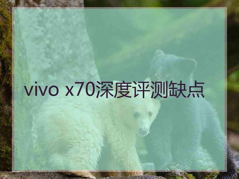 vivo x70深度评测缺点