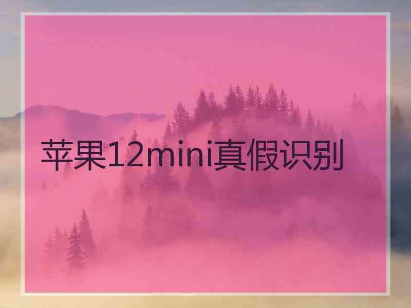 苹果12mini真假识别