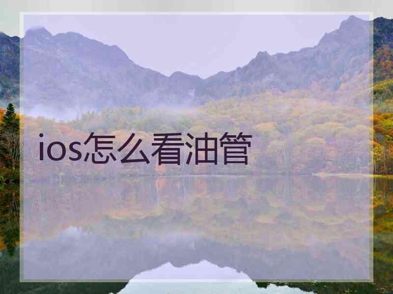 ios怎么看油管