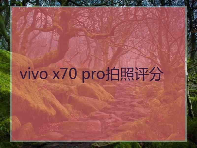 vivo x70 pro拍照评分