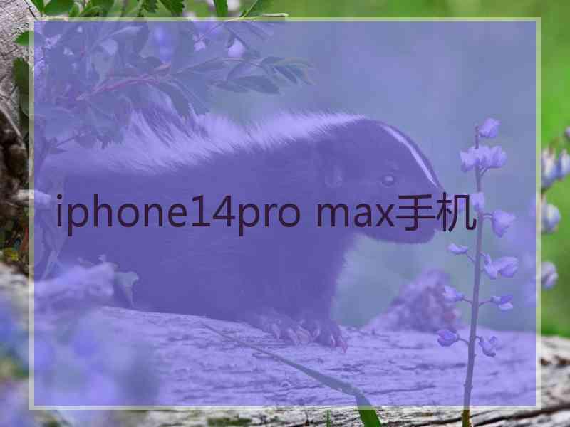 iphone14pro max手机