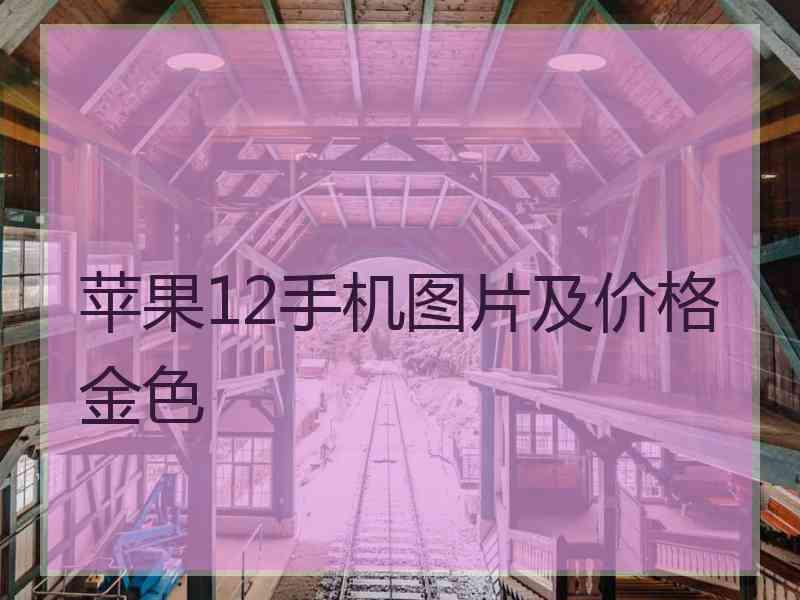 苹果12手机图片及价格金色