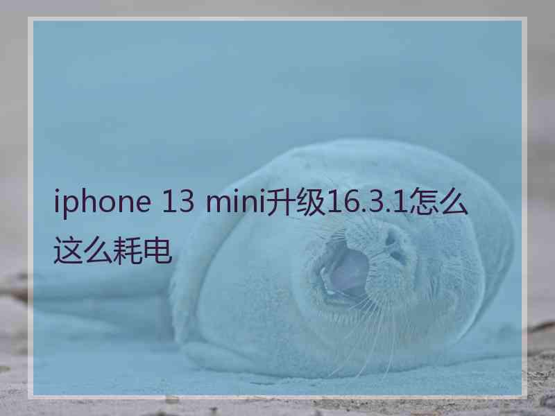 iphone 13 mini升级16.3.1怎么这么耗电