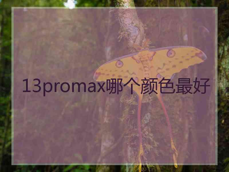 13promax哪个颜色最好