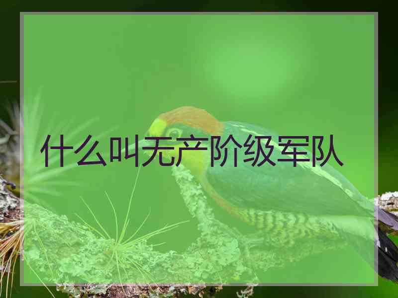 什么叫无产阶级军队