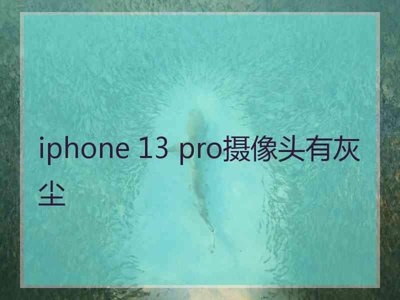 iphone 13 pro摄像头有灰尘