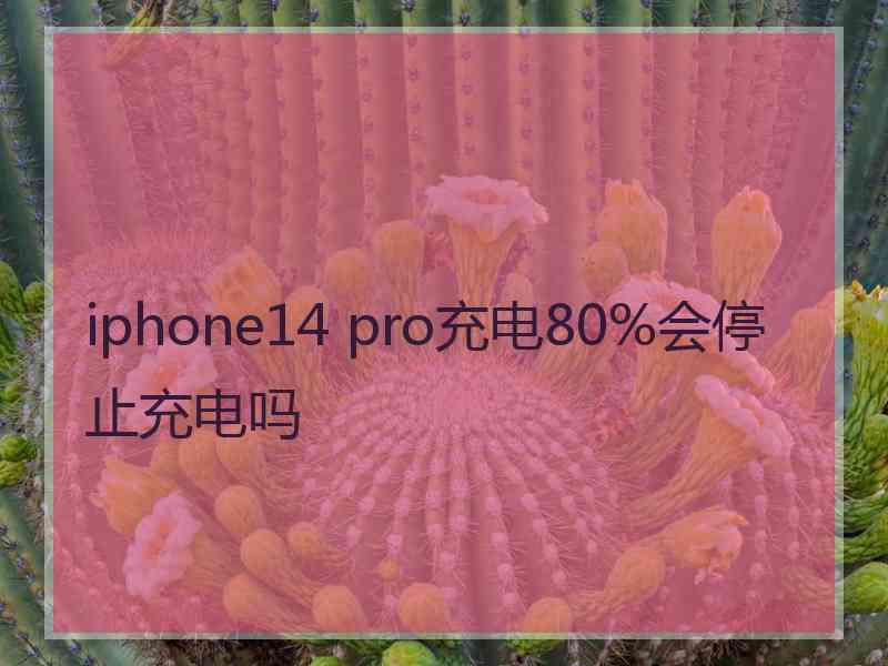 iphone14 pro充电80%会停止充电吗