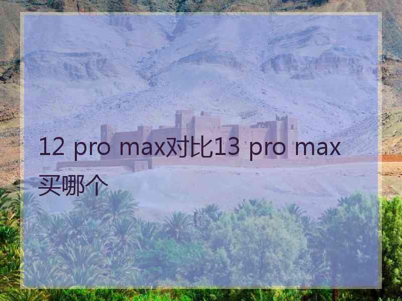 12 pro max对比13 pro max买哪个