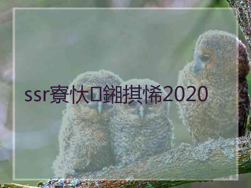 ssr寮忕鎺掑悕2020