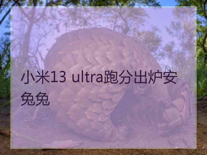 小米13 ultra跑分出炉安兔兔