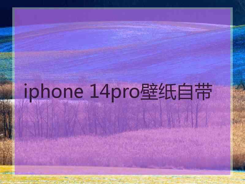 iphone 14pro壁纸自带