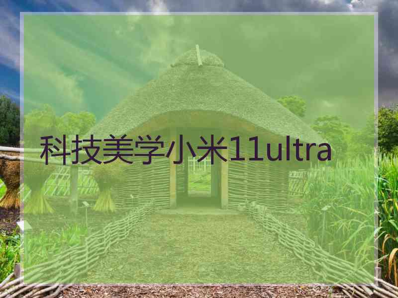 科技美学小米11ultra