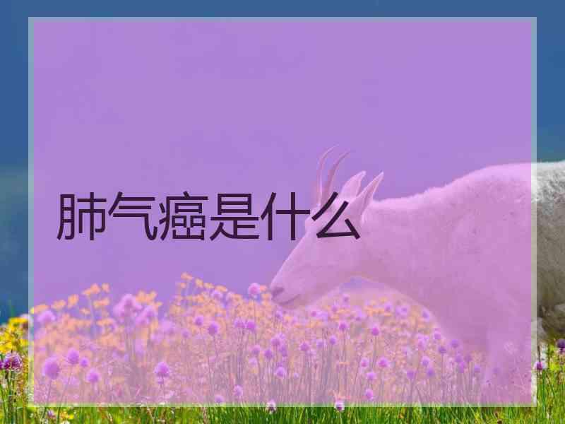 肺气癌是什么