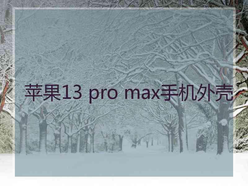 苹果13 pro max手机外壳