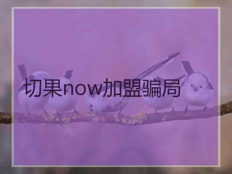 切果now加盟骗局