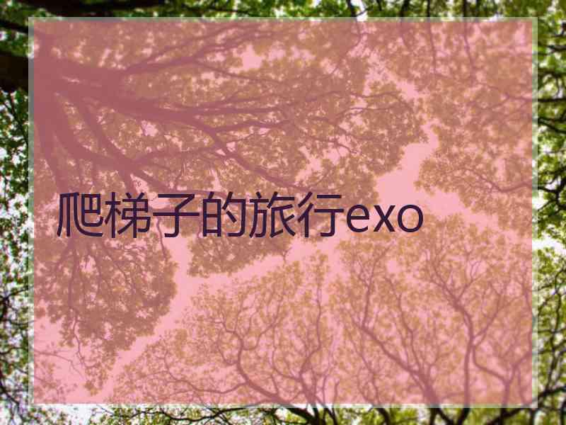 爬梯子的旅行exo