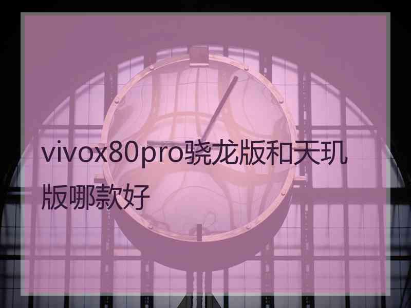 vivox80pro骁龙版和天玑版哪款好