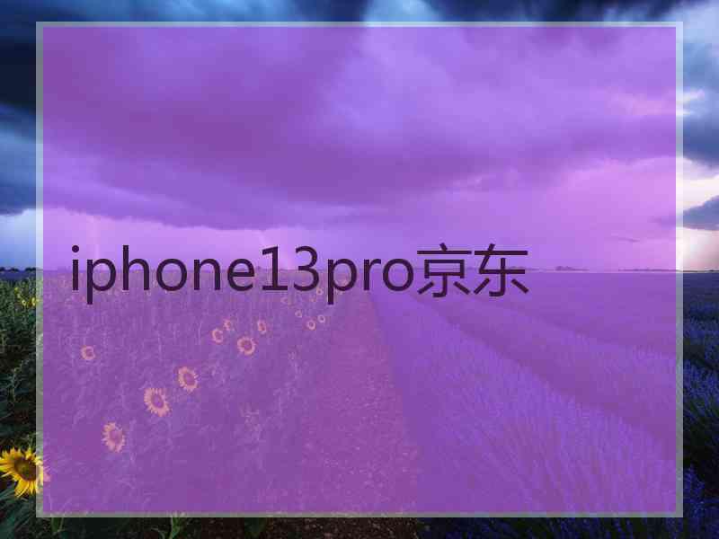 iphone13pro京东