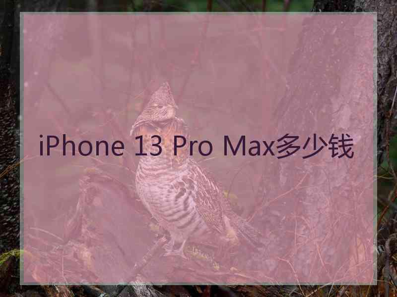 iPhone 13 Pro Max多少钱