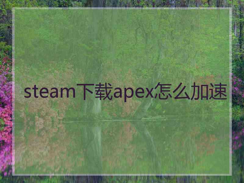 steam下载apex怎么加速