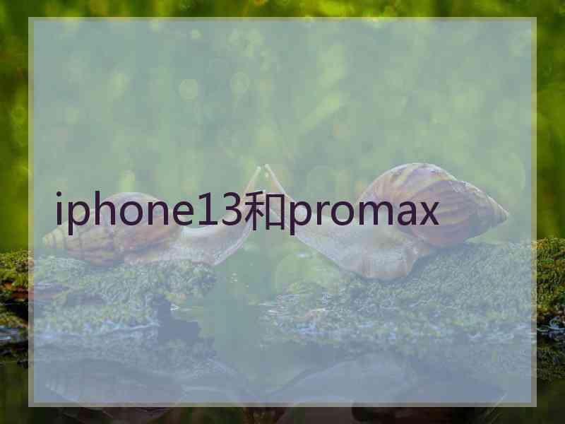 iphone13和promax