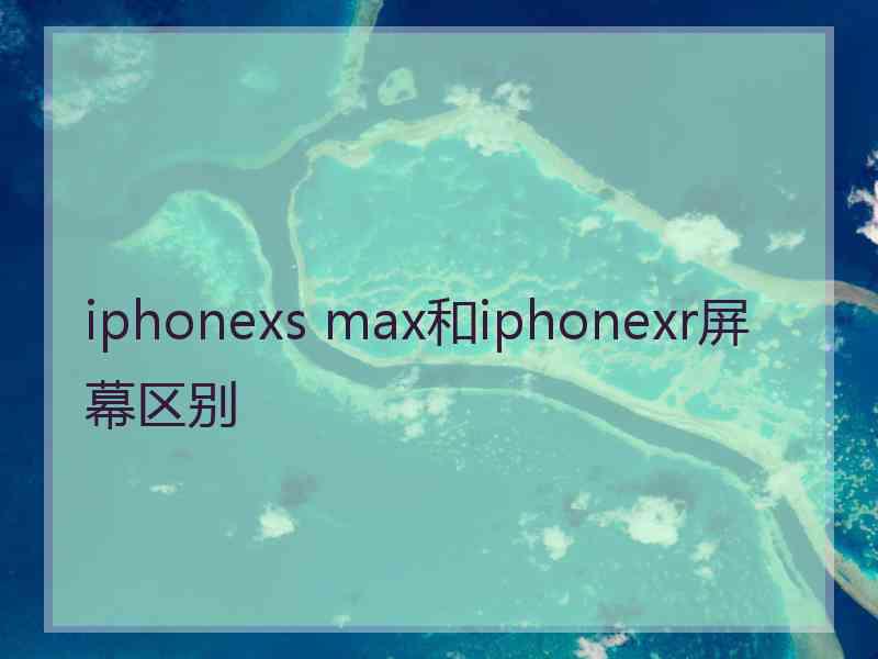 iphonexs max和iphonexr屏幕区别