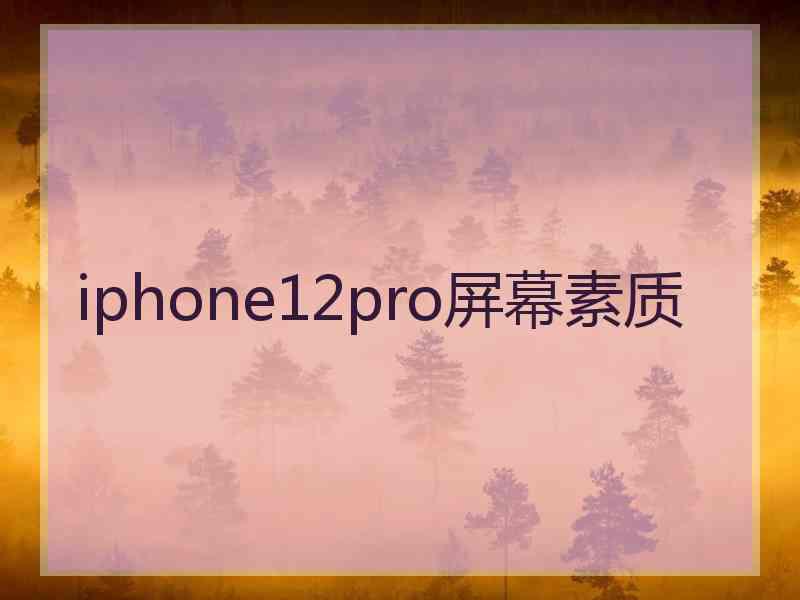 iphone12pro屏幕素质