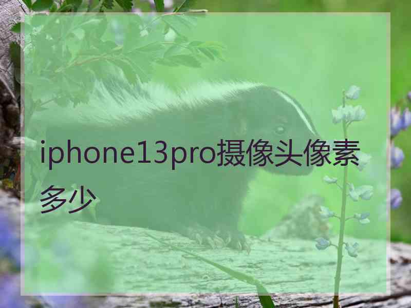 iphone13pro摄像头像素多少