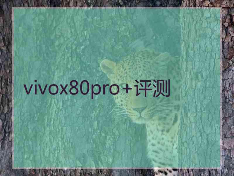 vivox80pro+评测