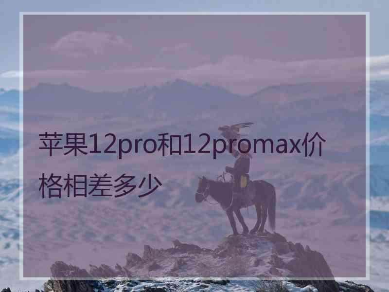 苹果12pro和12promax价格相差多少