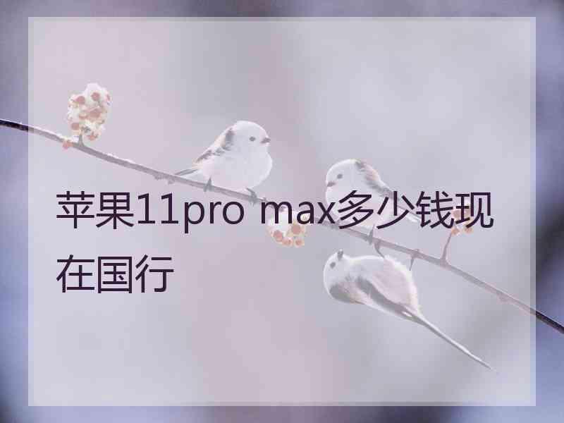 苹果11pro max多少钱现在国行