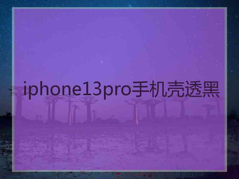 iphone13pro手机壳透黑