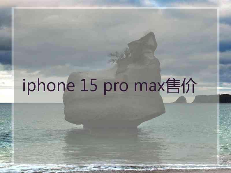 iphone 15 pro max售价