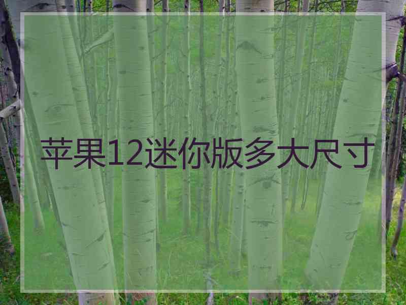 苹果12迷你版多大尺寸