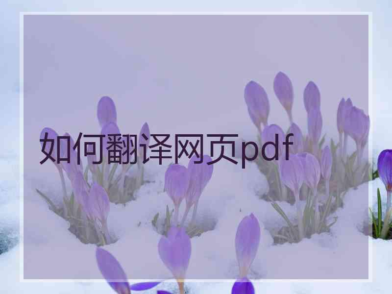 如何翻译网页pdf