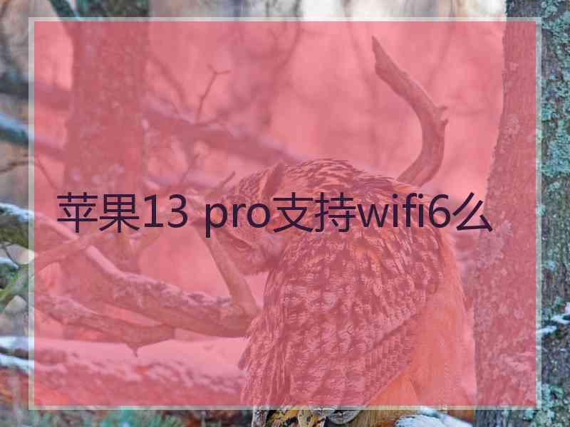 苹果13 pro支持wifi6么