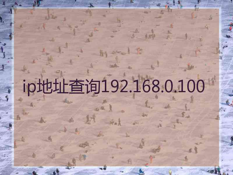 ip地址查询192.168.0.100