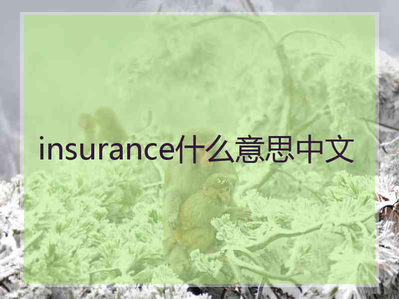 insurance什么意思中文