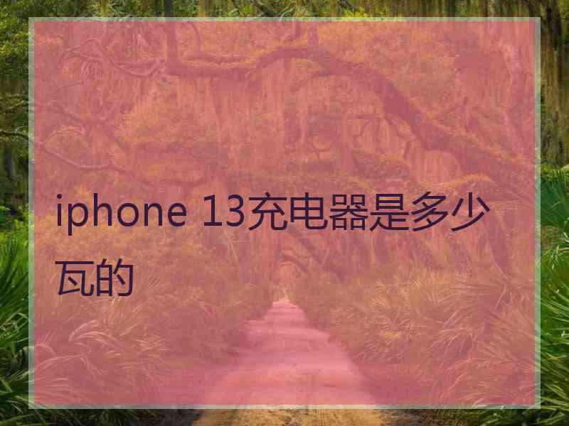 iphone 13充电器是多少瓦的