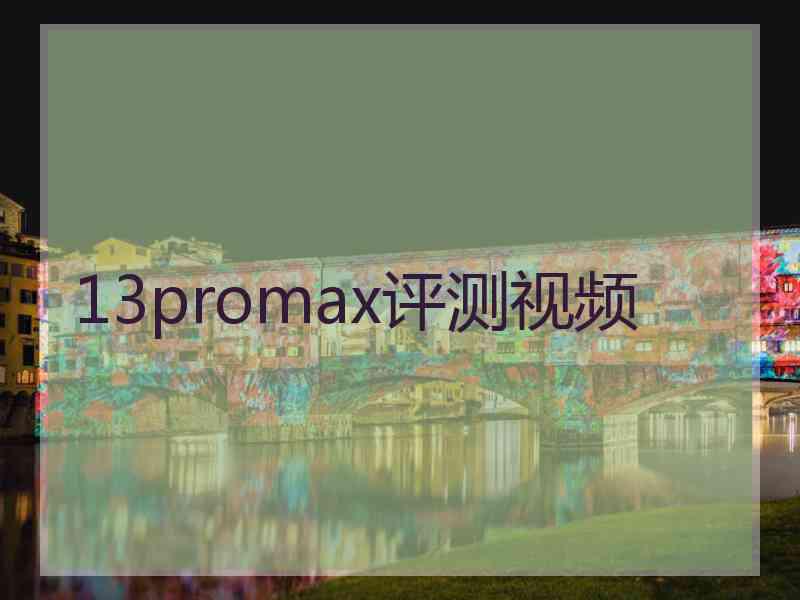 13promax评测视频