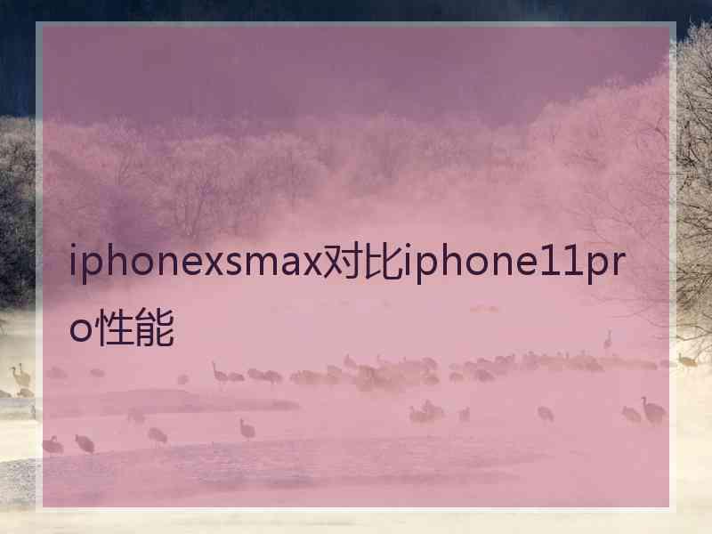 iphonexsmax对比iphone11pro性能