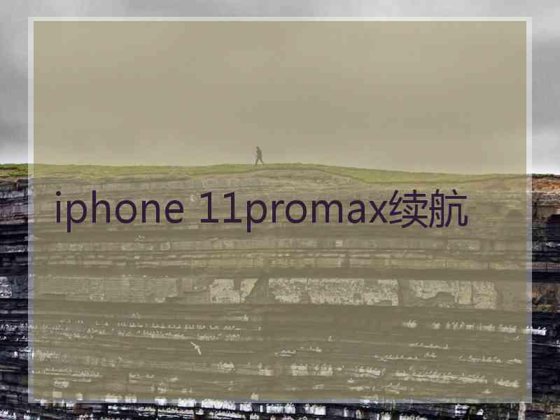 iphone 11promax续航