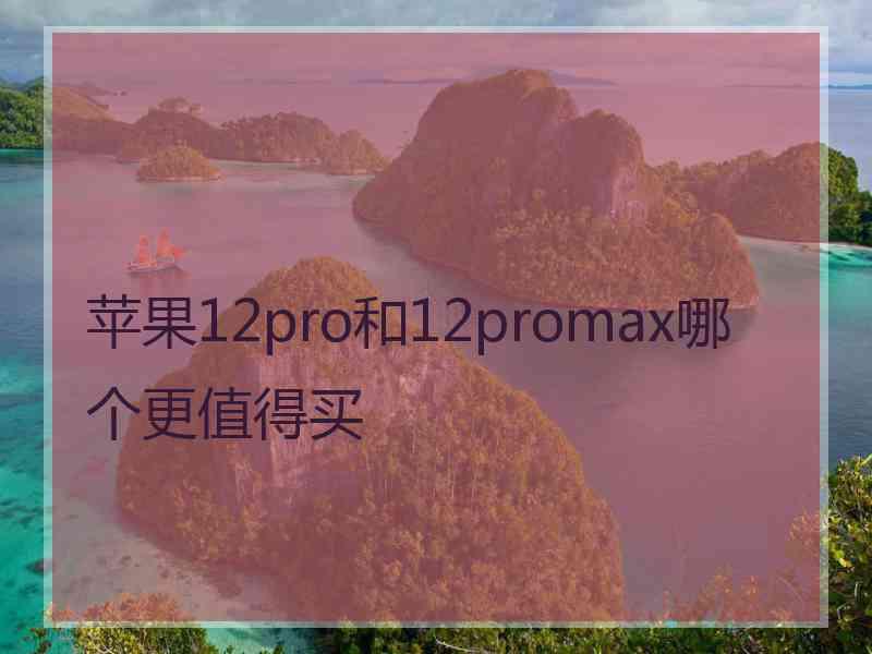 苹果12pro和12promax哪个更值得买